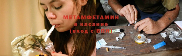 прущие грибы Баксан