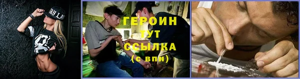 прущие грибы Баксан