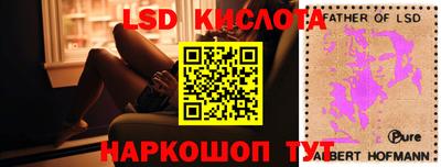 крисы Гагарин