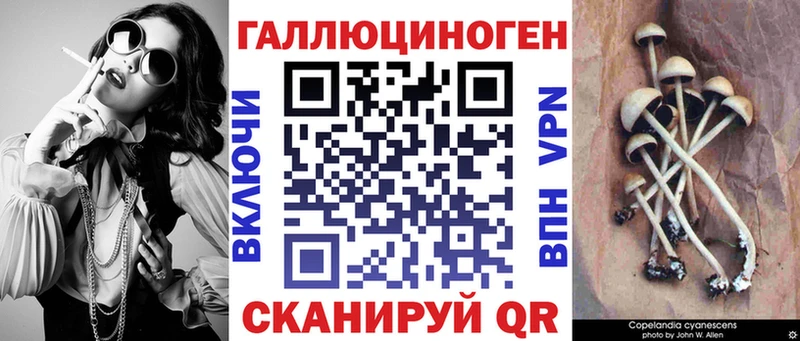 где можно купить OMG ТОР Галлюциногенные грибы Magic Shrooms Красноярск