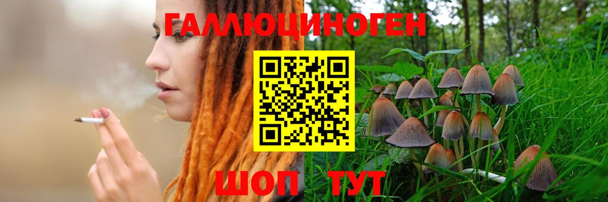 Галлюциногенные грибы Magic Shrooms  Вход с VPN  Красноярск 
